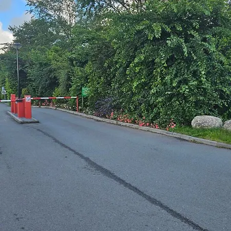Casa Viva La Vida - Luxe Vakantiewoning In Het Hart De Bollenstreek En Dichtbij Strand, Meer, Duinen En Keukenhof Noordwijkerhout