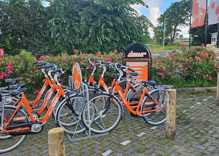 Tatil Evi Casa Viva La Vida - Luxe Vakantiewoning In Het Hart De Bollenstreek En Dichtbij Strand, Meer, Duinen En Keukenhof Noordwijkerhout
