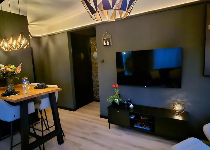 Casa Viva La Vida - Luxe Vakantiewoning In Het Hart De Bollenstreek En Dichtbij Strand, Meer, Duinen En Keukenhof Noordwijkerhout