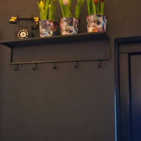 Casa Viva La Vida - Luxe Vakantiewoning In Het Hart De Bollenstreek En Dichtbij Strand, Meer, Duinen En Keukenhof