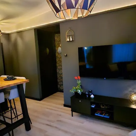 Casa Viva La Vida - Luxe Vakantiewoning In Het Hart De Bollenstreek En Dichtbij Strand, Meer, Duinen En Keukenhof Noordwijkerhout